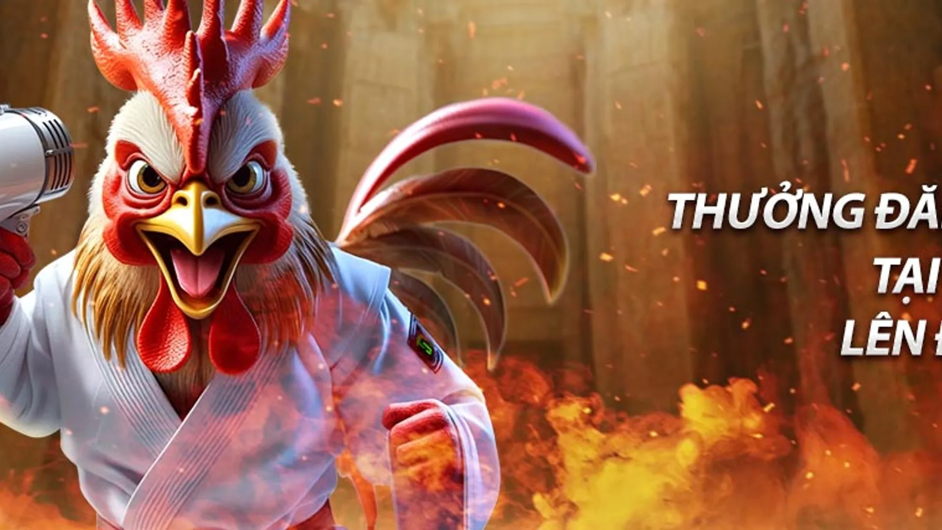 Người chơi nghiên cứu yêu cầu vòng cược thưởng cá cược tại 55win