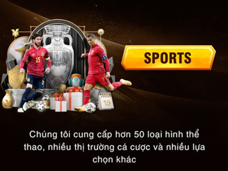 Cá Cược Thể Thao 55win