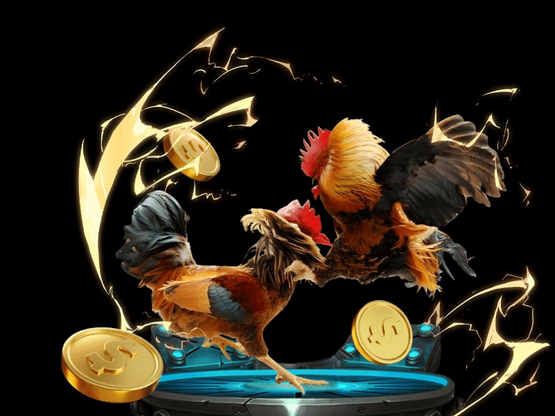 Trò chơi video slot phiêu lưu